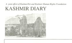 Kashmir Diary